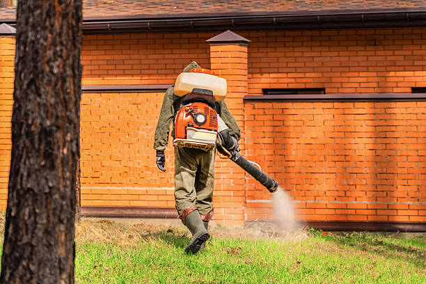 Bed Bug Clearance Verification and Documentation in Golden Beach
